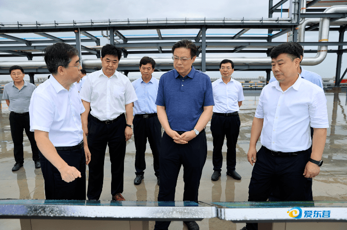 杨国强调研新能源产业发展和东营港基础设施建设情况