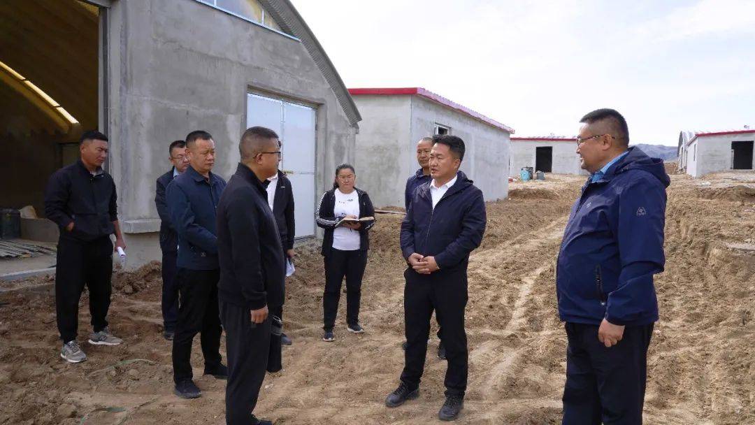 县委书记李林飞调研乡村振兴工作_等项目_建设_发展