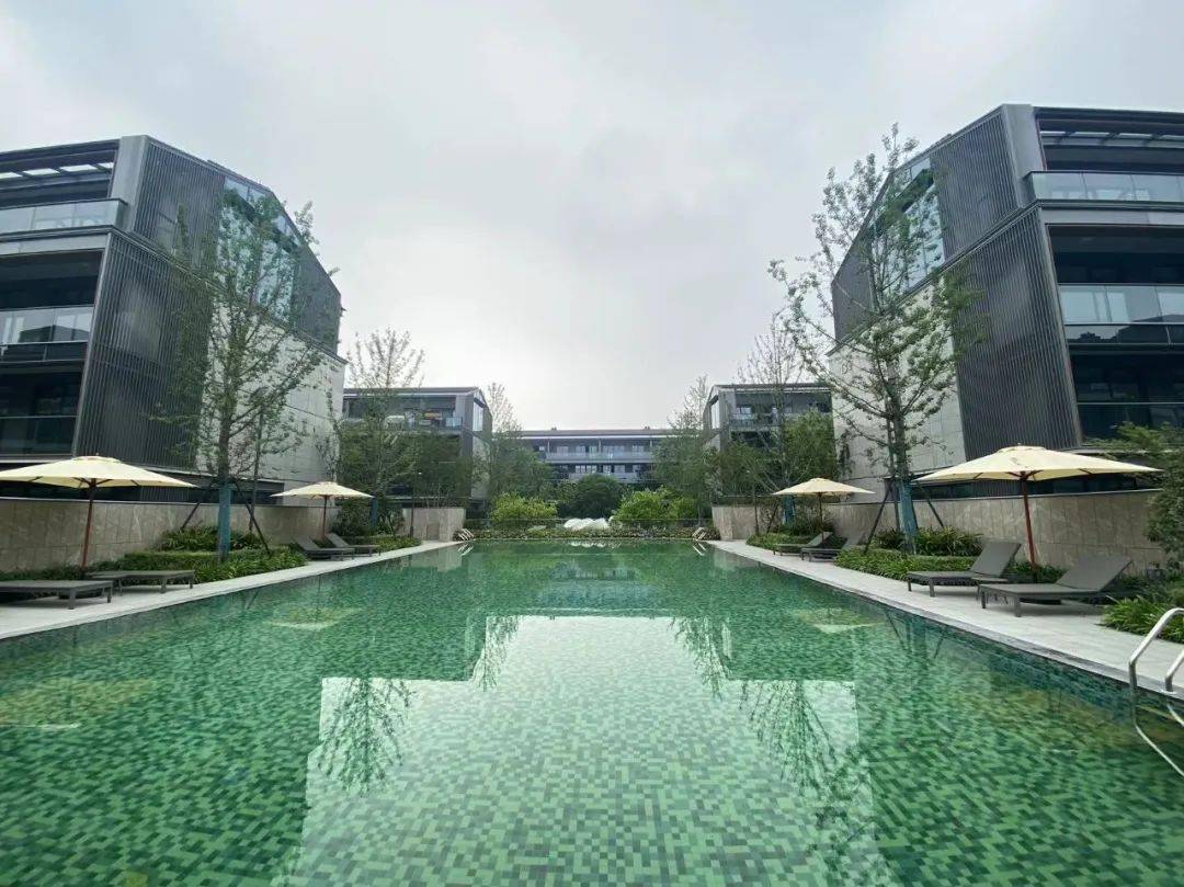 晓月_澄庐_市场