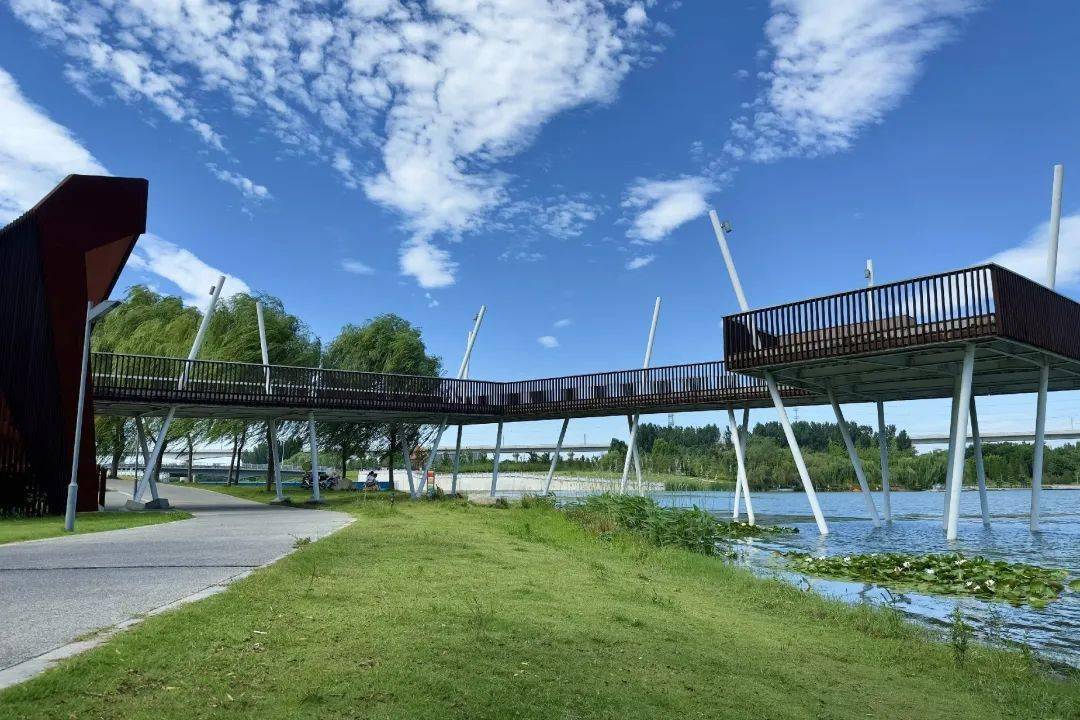 真好看 | 经开区滨河国际新城风景美如画_王柳_郑州市_公园