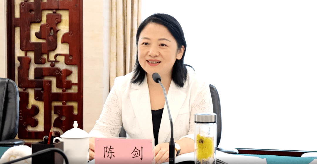 陈剑充分肯定了2023年上半年襄阳市人工智能产业链的工作成效