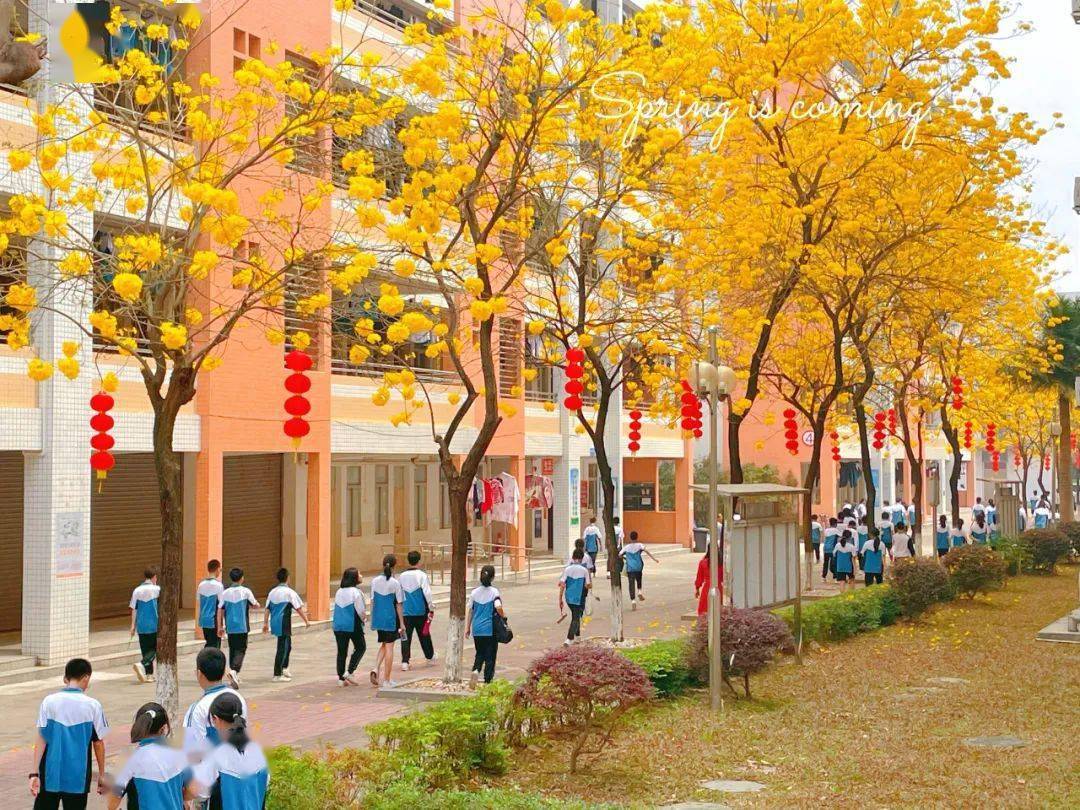 【西南】三水中学附属初中招聘数学,历史,心理健康临聘教师各1名_教育