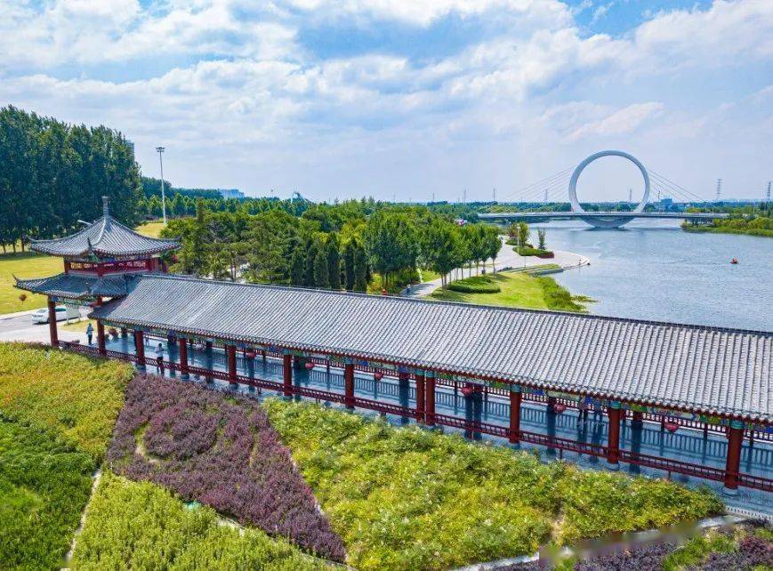 真好看 | 经开区滨河国际新城风景美如画_王柳_郑州市_公园