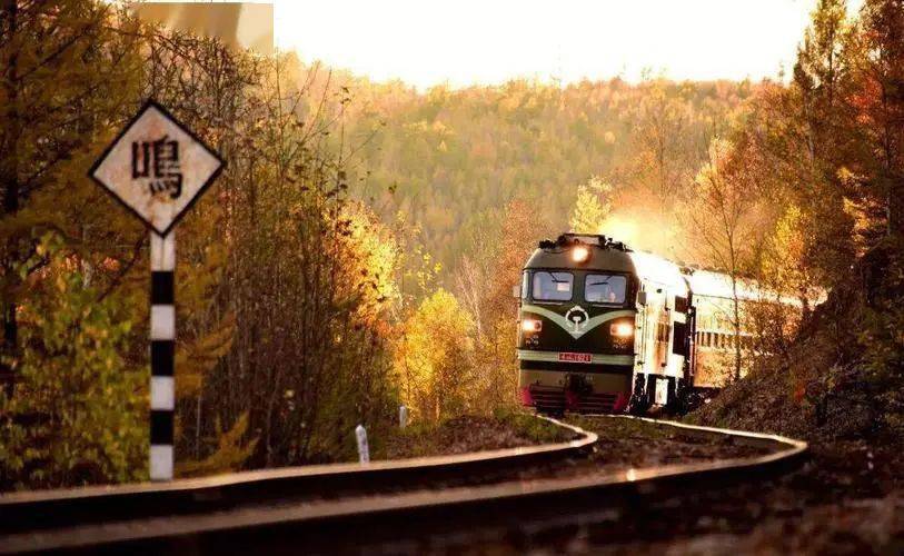 生命的列车(太感人了)_因为_旅客_旅途