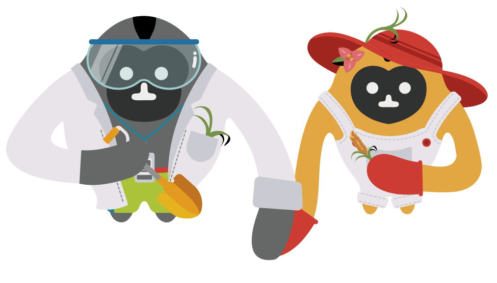 探索长臂猿的神秘世界,公益护猿小队出发!