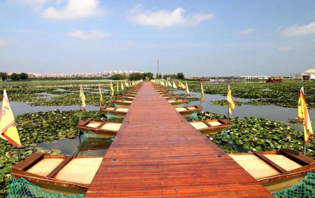 賞荷花,乘遊船,觀水鳥~北辰這個景區又添網紅打卡點!_旅遊_曙光_項目