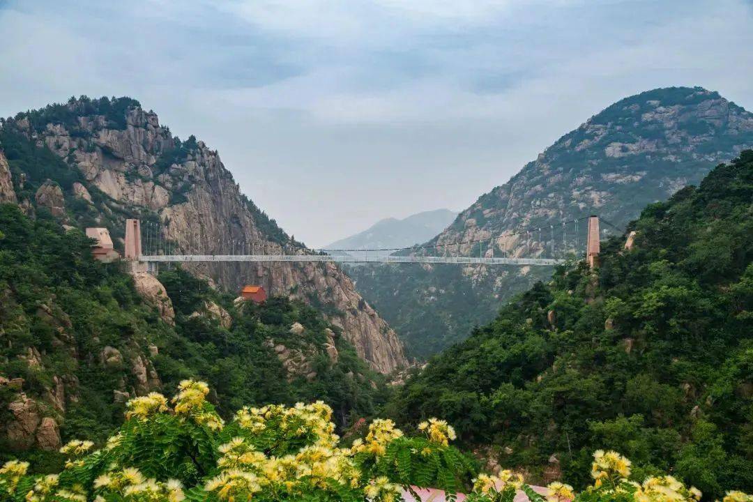 碧波荡漾,山体植被覆盖率达60%以上,包含青龙峡,乌龙峡,老龙峡和天绿