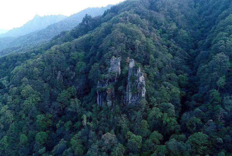 东岔林场腹地东岔镇桃花沟景区入选天水新八景的全国十条精品森林