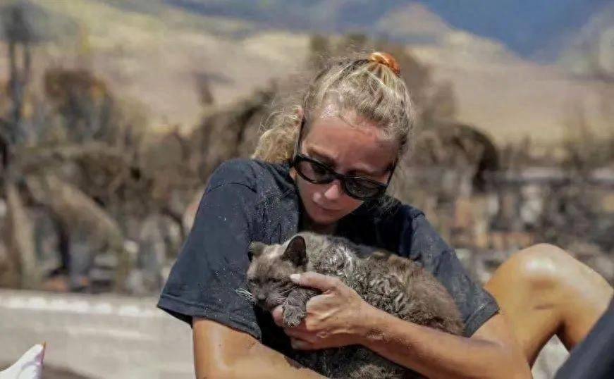 夏威夷大火,21世纪的种族灭绝_火灾_毛伊岛_土地