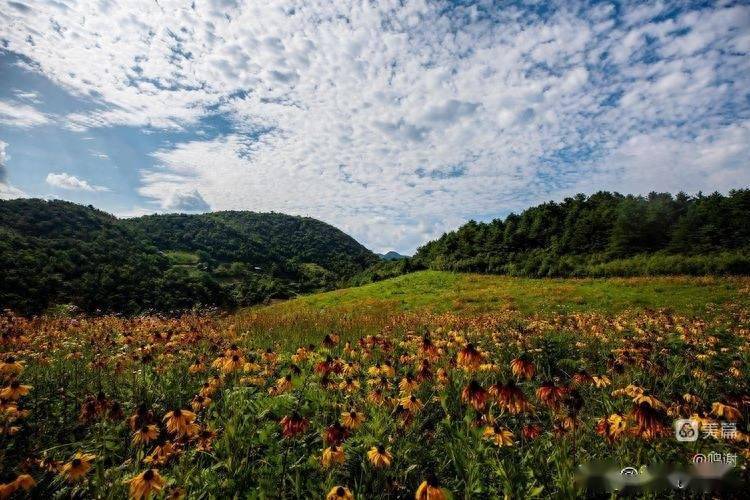 草坝纳凉小记_景区_镇巴县_云海