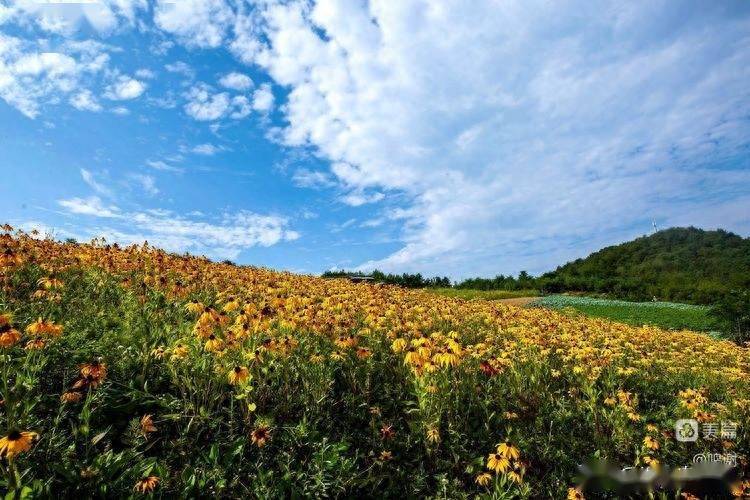 草坝纳凉小记_景区_镇巴县_云海