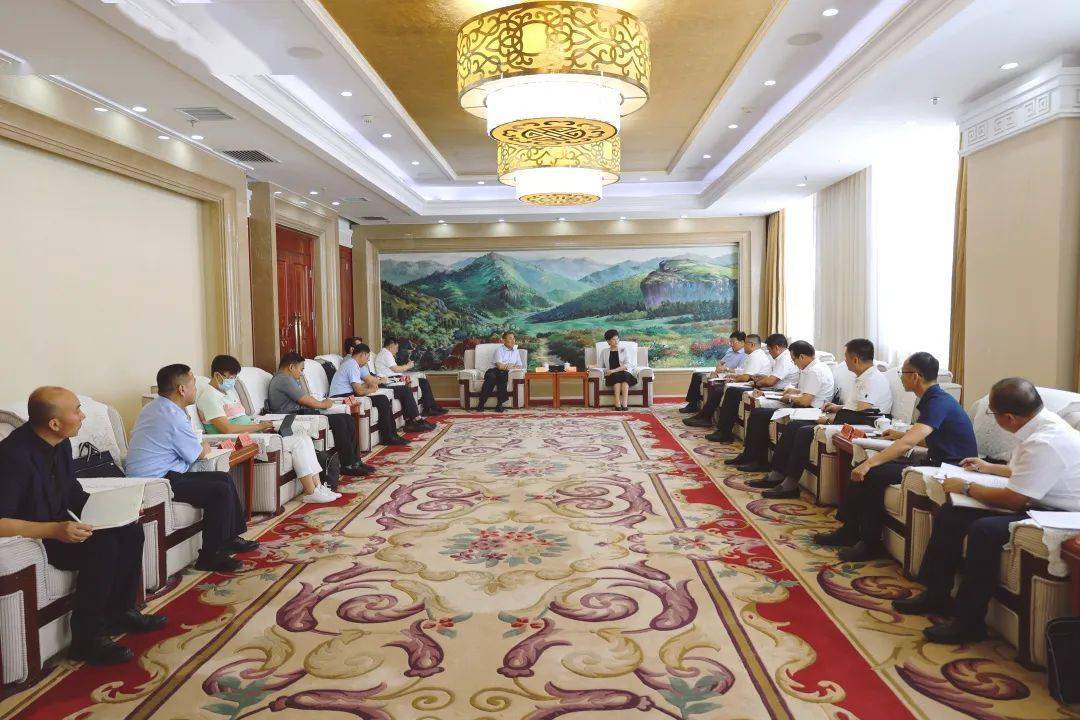 黄雅丽会见内蒙古能源集团董事长何雨春_合作_建设_项目