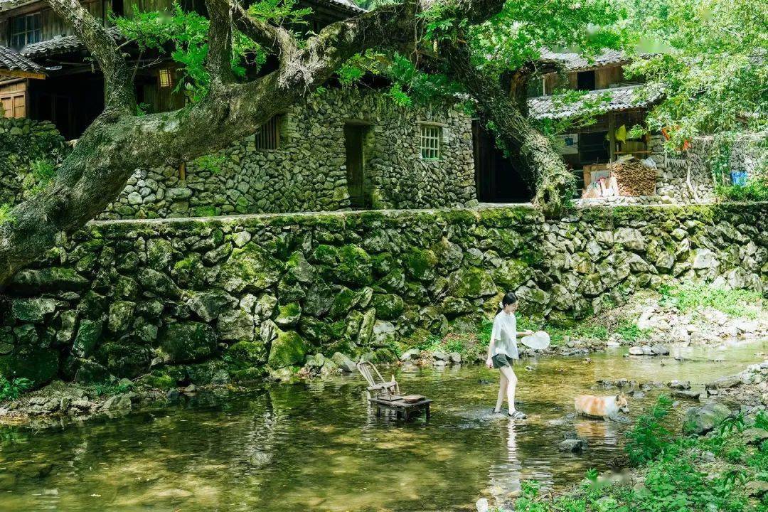 溪水_尤溪镇_西瓜