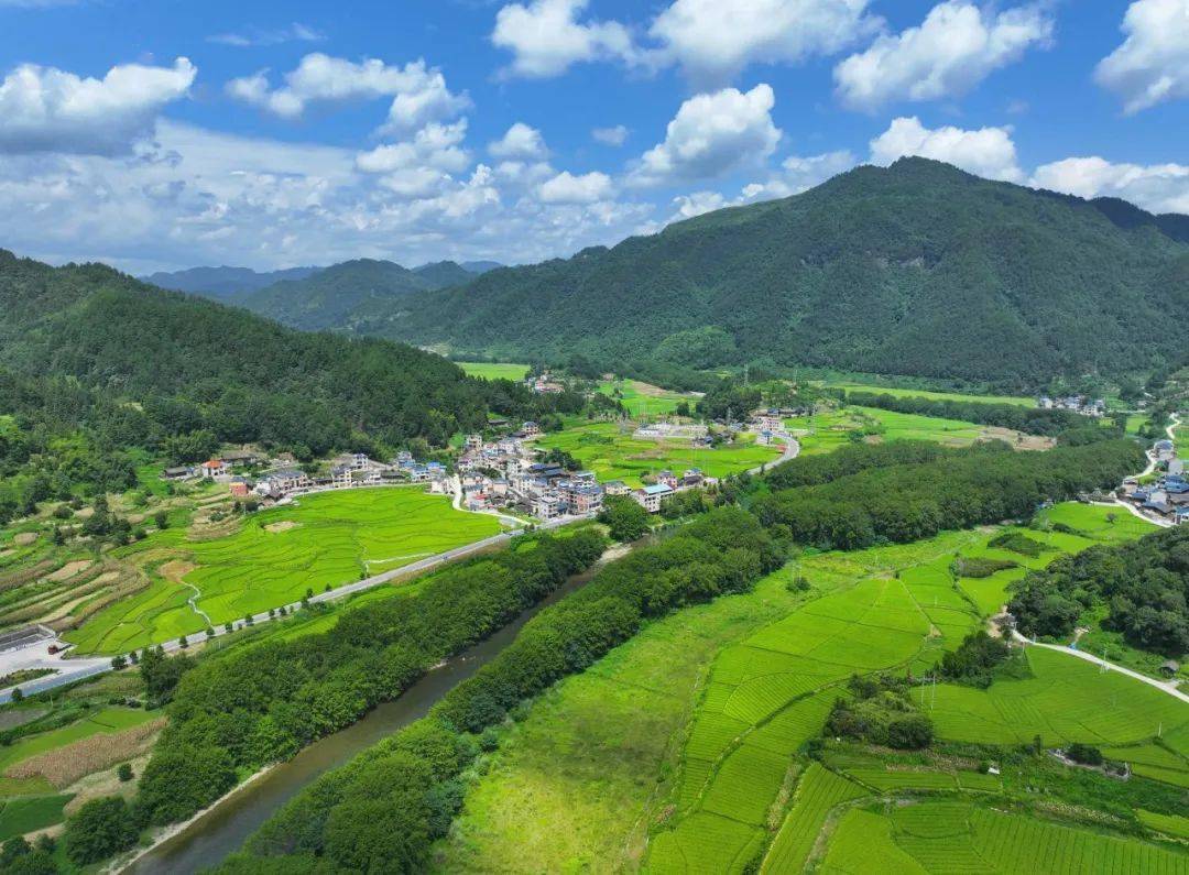 岑巩|龙江河畔的水美乡村画卷_贵州省_龙田镇_治理