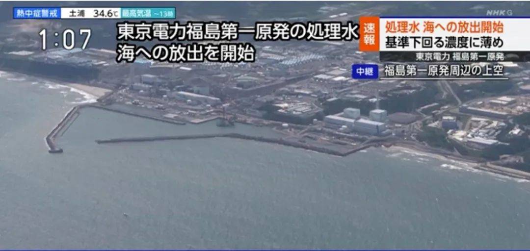 日本核污染水今起排海！还能给孩子吃海鲜吗？