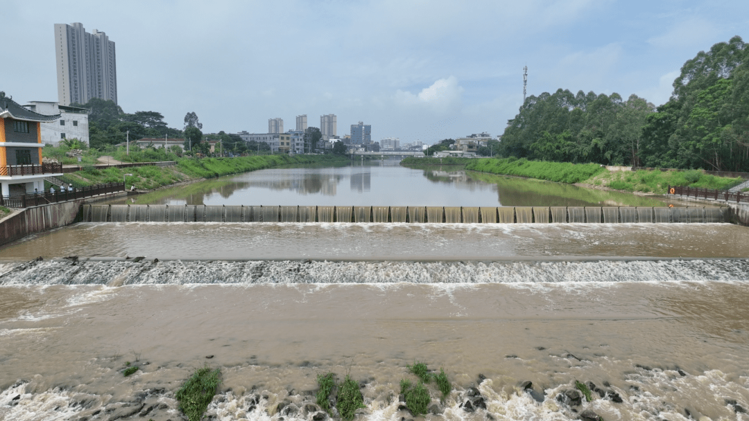 博罗柏塘河景美河畅!_柏塘镇_工程_休闲