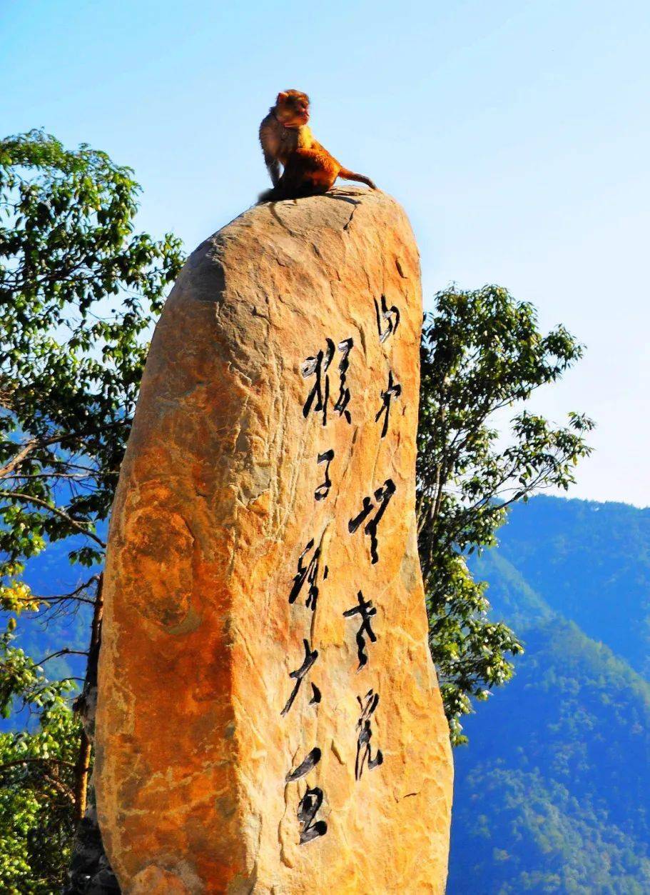 猴王谷景区——天鹅堡室内滑雪场/温泉——龙悦山居——民宿浙南民俗