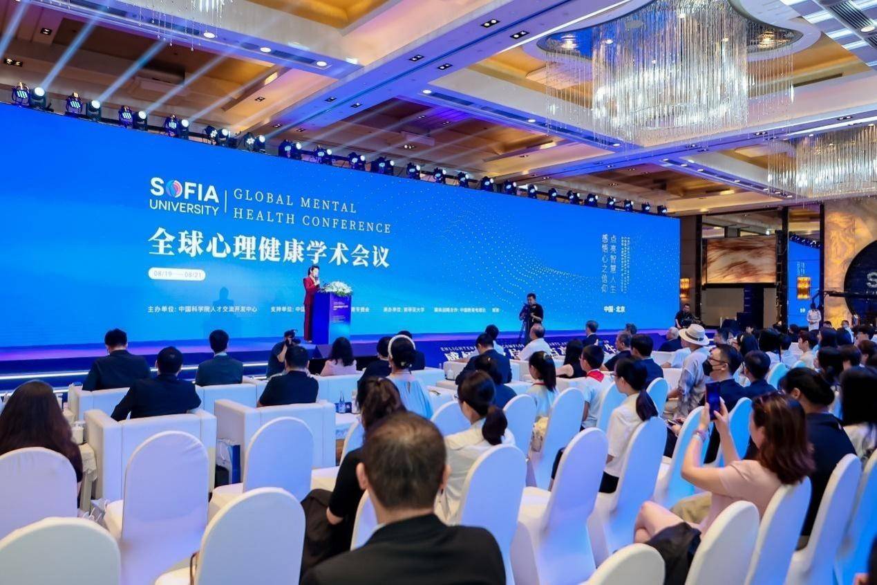 2023全球心理健康学术会议丨陈虹:语商能力理论模型_教育_语言_批评