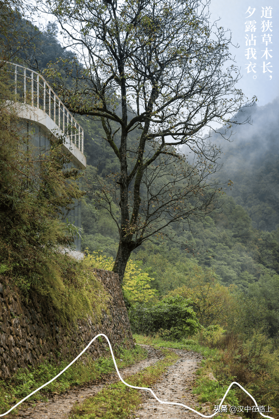 偶入秦岭深处:空山不见人,但伸手就捉到了云雾_留坝