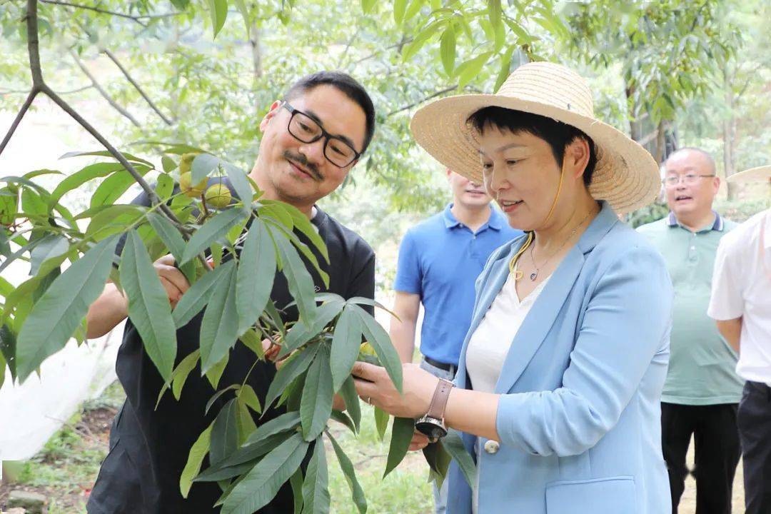 罗爱芬一行实地调研了清凉峰镇杭州临安桃源绿色食品有限公司,了解山