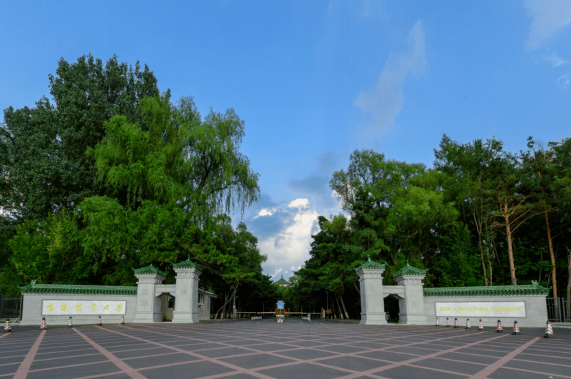 吉林农业大学党委书记张殿锋,校长杜锐谈"教育强省 高校何为"_建设_工