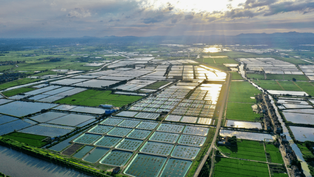 天目湖镇二手房(天目湖中心村房价)