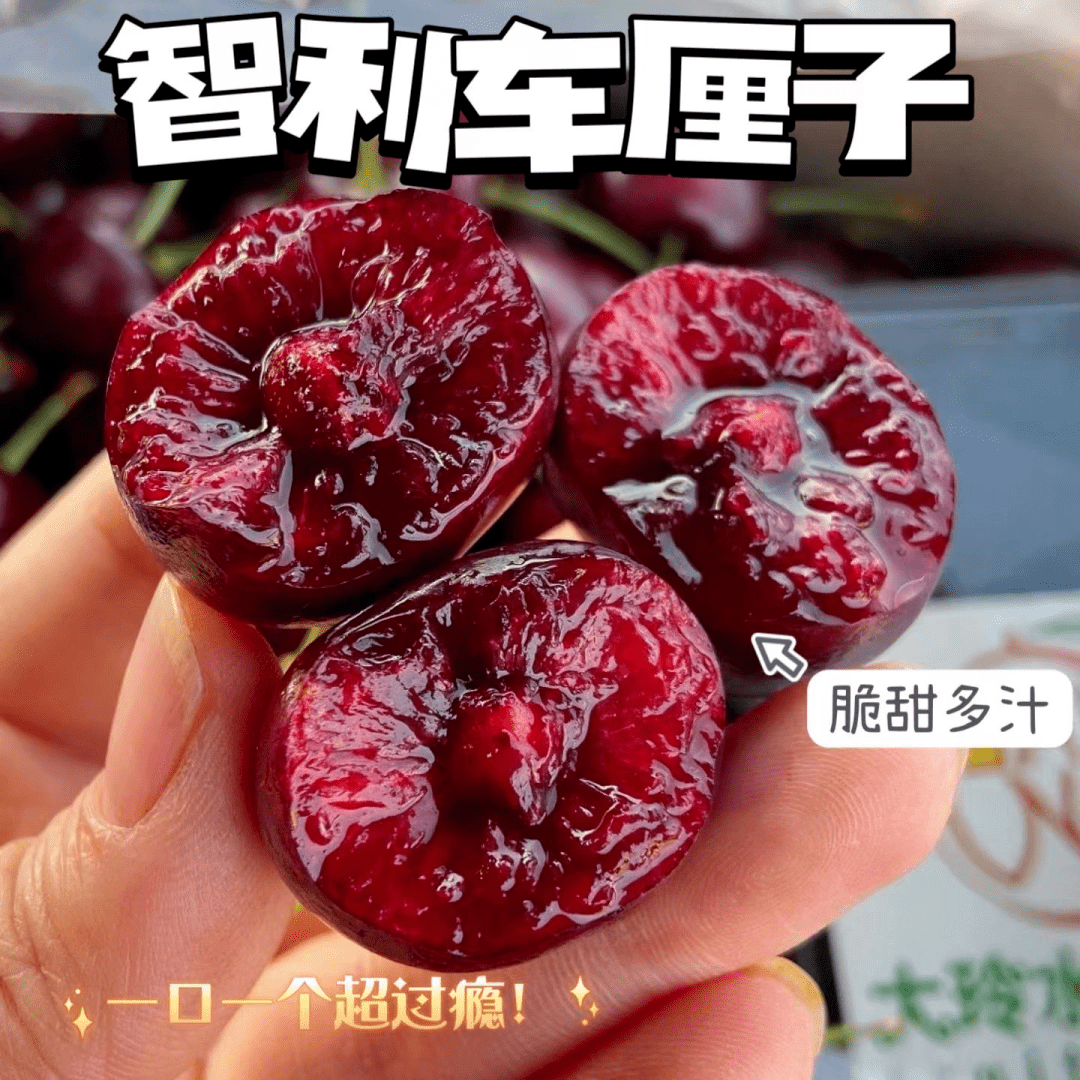 美国进口红宝石车厘子