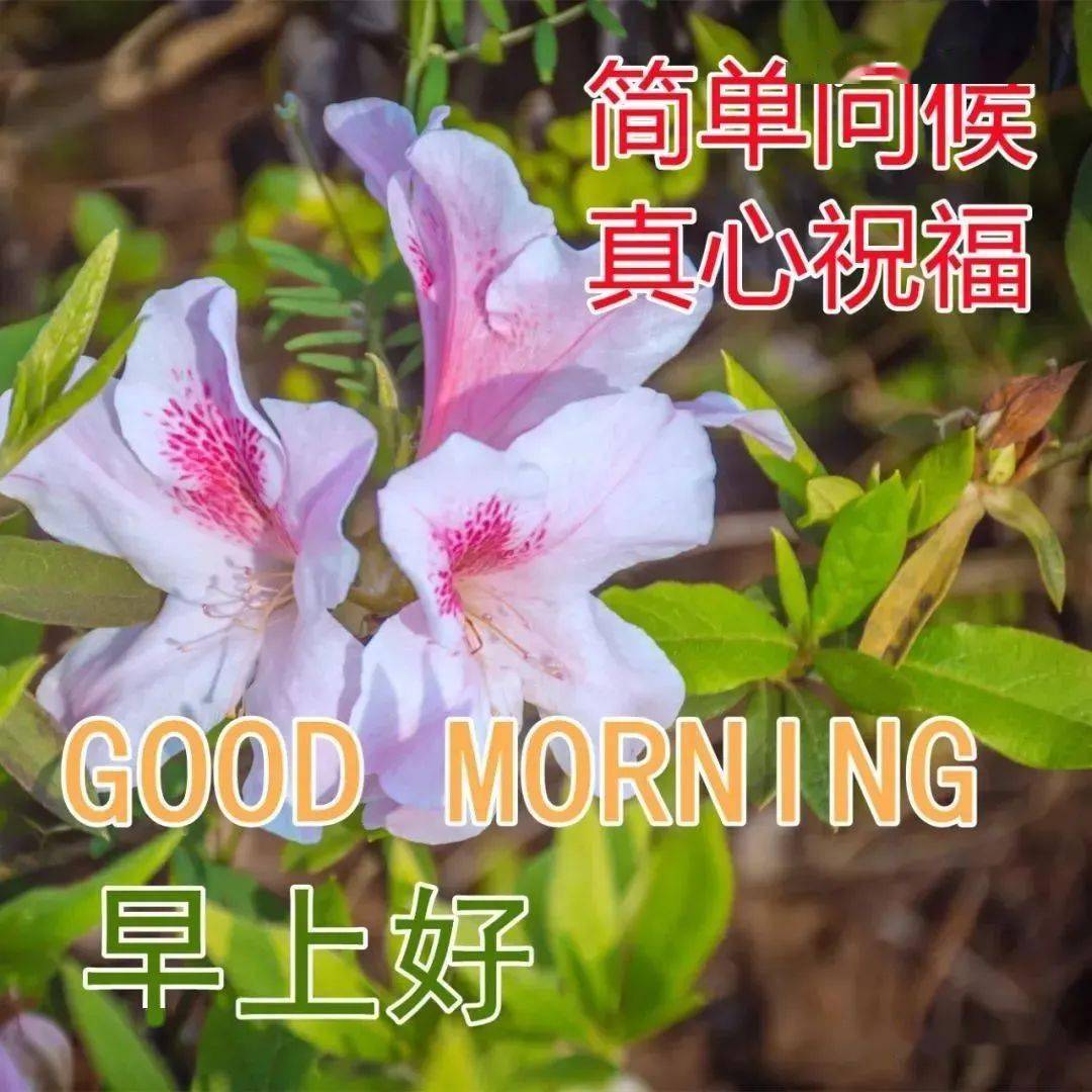 8,别笑乌龟傻,人家懂八卦;别笑蜗牛笨,人家有房又有家;别说自己跑得快