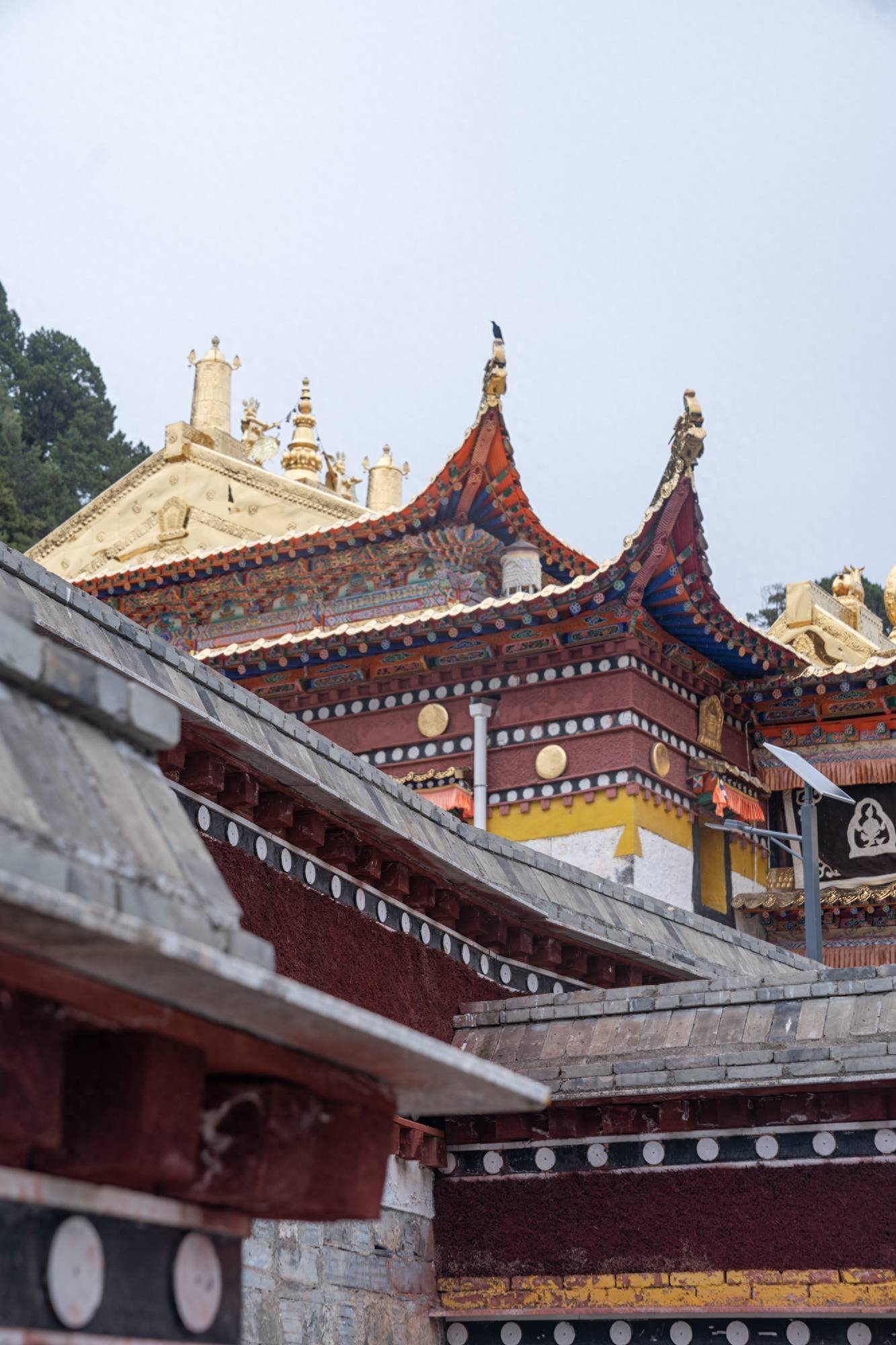 郎木寺,甘肃秘境,随手都能出大片_虹桥_寺庙_竹林