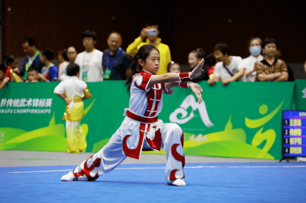 外国友人点赞第九届世界传统武术锦标赛_比赛_darius_中国