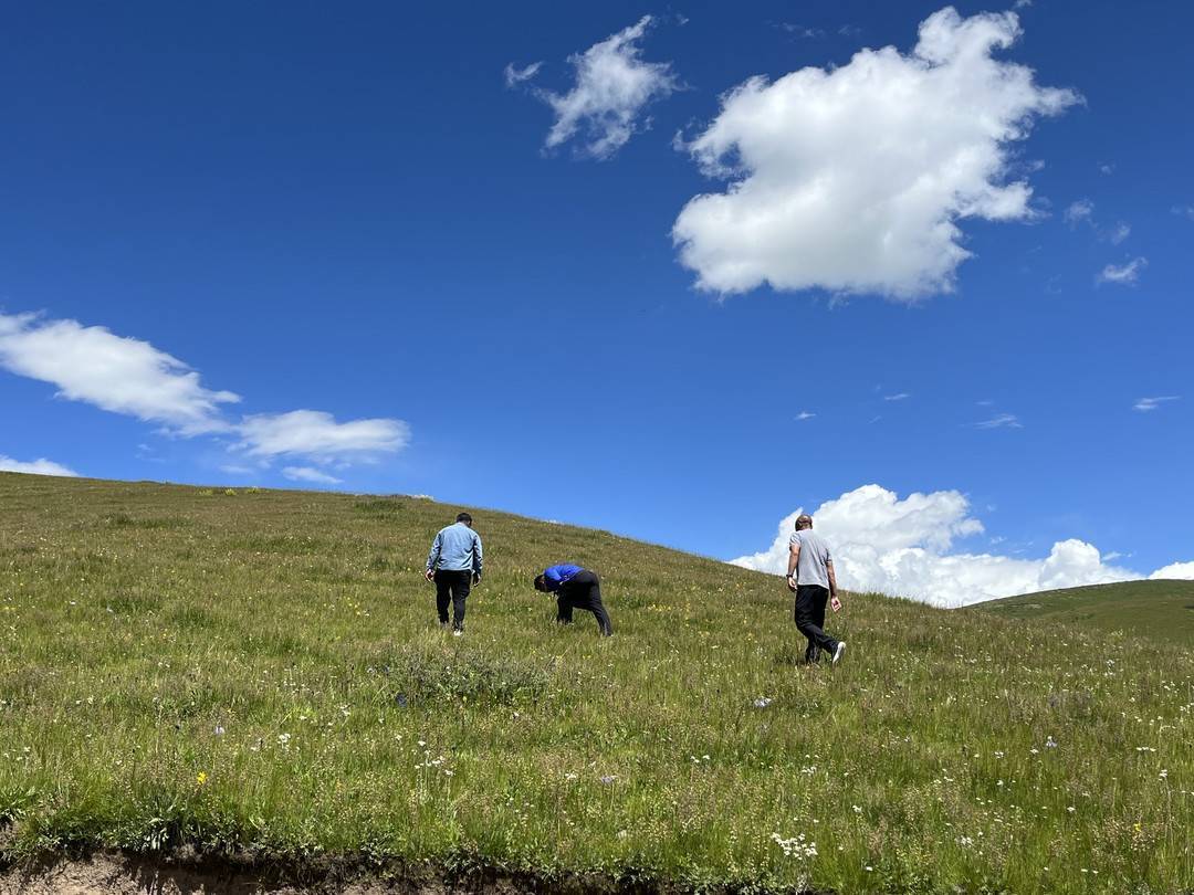 提供科技支撑……甘孜县草原生态修复治理成效初显_草种_赵杰和_草场