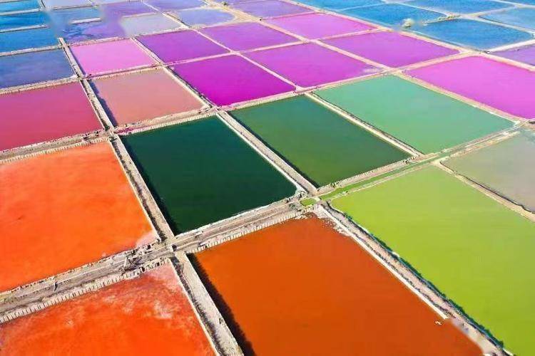 图集| 荣成七彩盐田_差异_颜色_日中