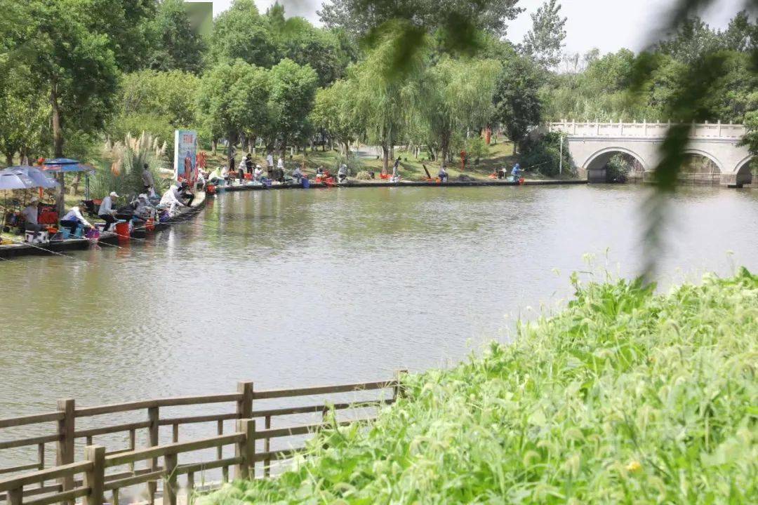 第六届乐钓江苏泰州站在溱湖绿洲顺利举办!