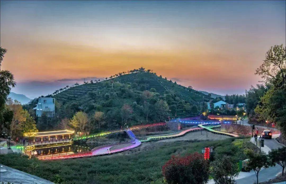 乡村振兴丨温州平阳水头:"中国黄汤第一村"找到茶旅产业融合"共富密码