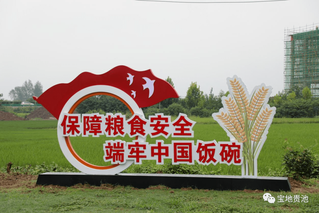 首个区级耕地保护试点工作在秋江街道启动_贵池区_永久_整改