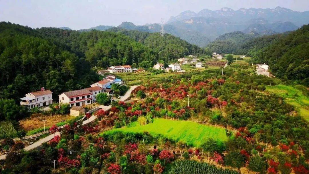 远安县嫘祖镇:践行"共同缔造" 理念 擦亮生态靓丽名片_发展_乡村旅游