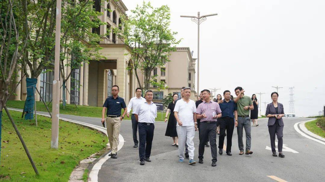 大学的初心与笃行_服务_教育_银杏