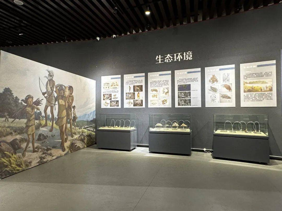 《海风山骨——福建昙石山遗址与昙石山文化特展》近日在临沧市博物馆