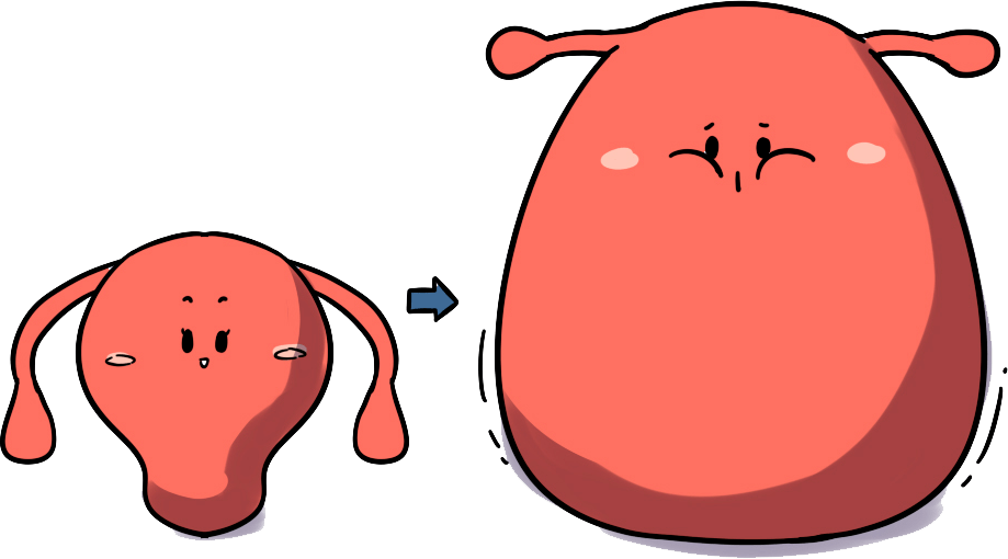 便秘为何偏爱女性?