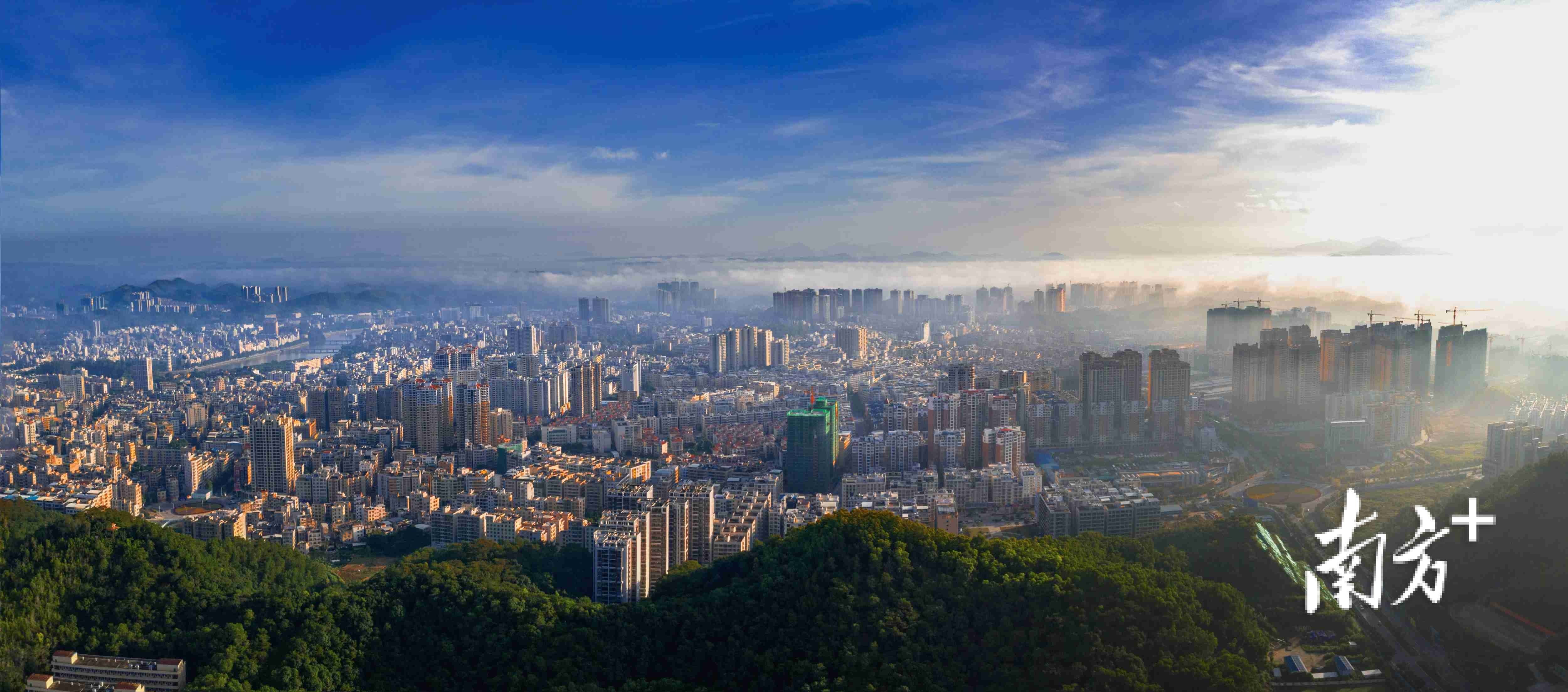 深读|中财管道广东生产基地落户高州,总投资9亿元_招商_企业_团队