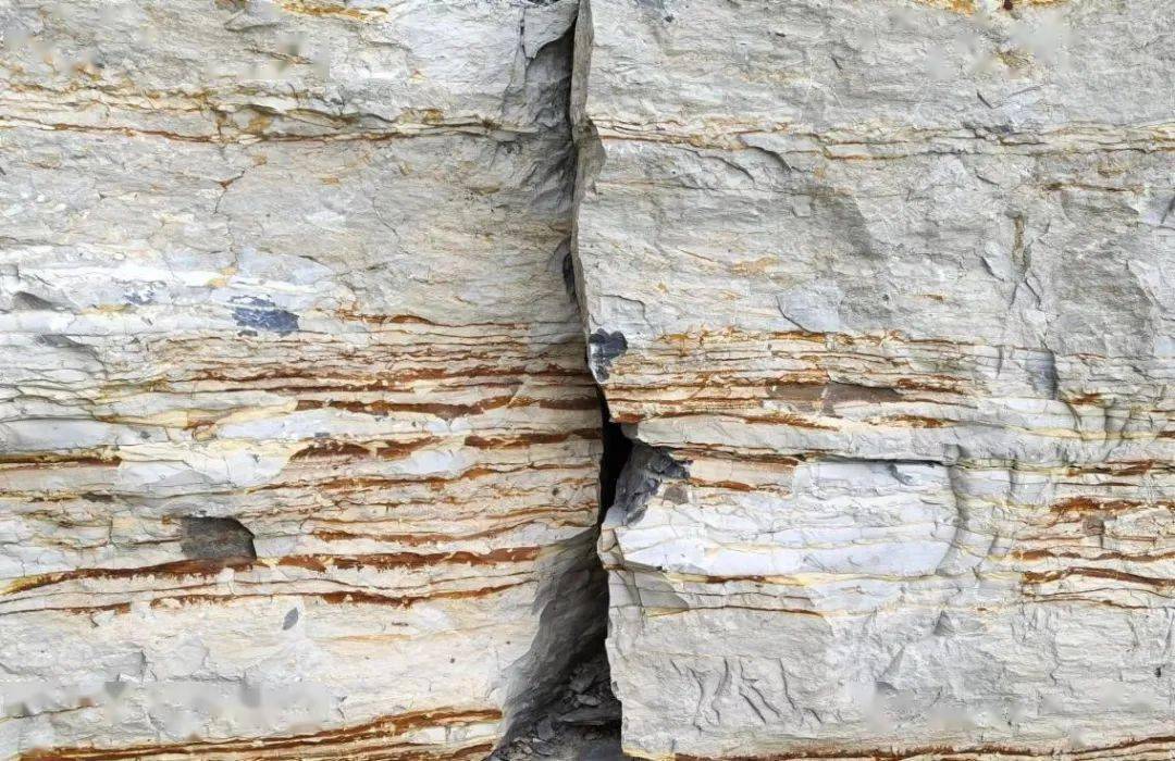 北戴河实习路线二 探地层奇观,感自然风采_岩石_点位_竹叶