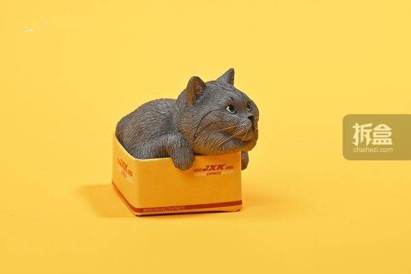 0 网红可爱橘猫懒猫宠物摆件手办_出货_官方_纸盒