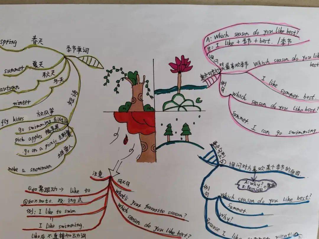 英语夏天思维导图图片