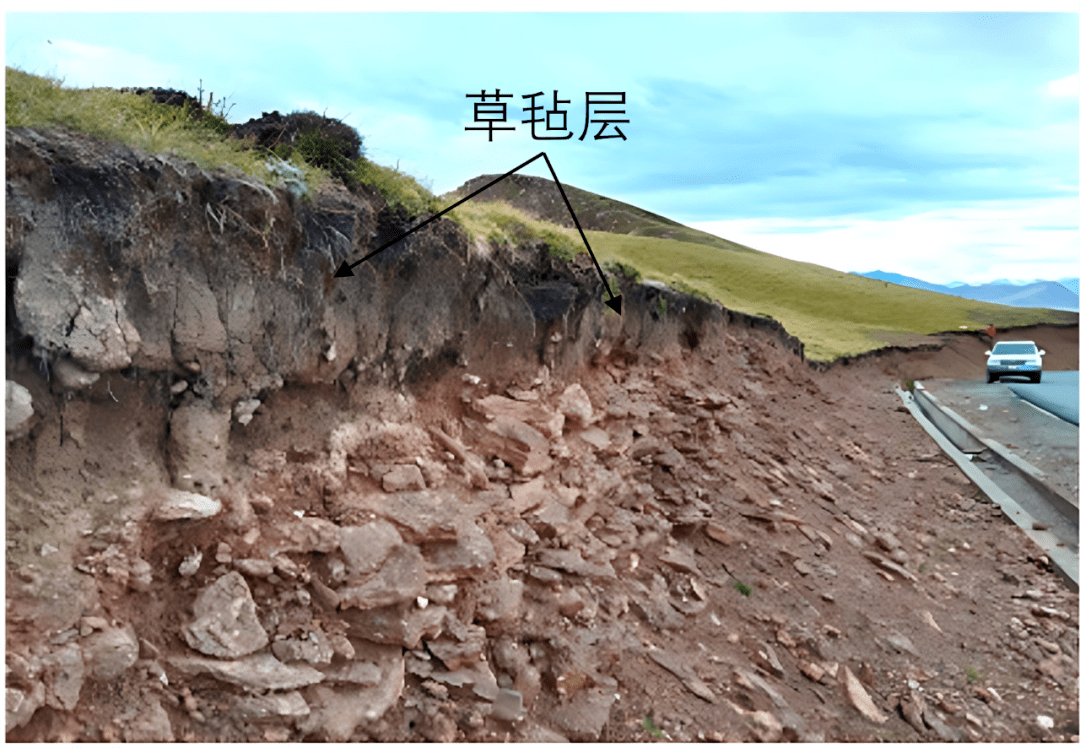 草毡层是由土壤物质与植物根系交缠而成的毡状表土层,主要分布在高寒