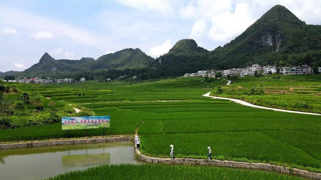大化瑶族自治县北景镇(鳙鱼)被认定为首批"国家农业产业强镇"_南丹县