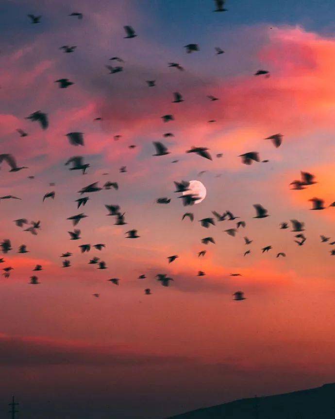 摄影作品欣赏:暮色醉人,愿有人陪你看尽黄昏_风疾