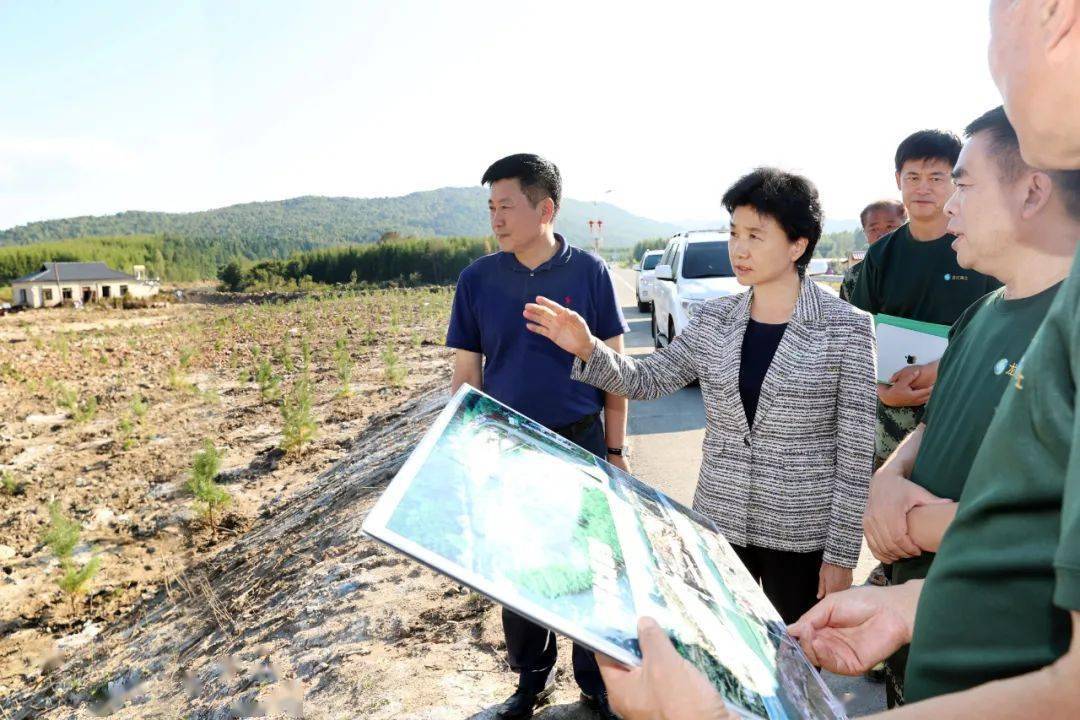 宁安市和龙江森工集团大海林林业局,东京城林业局调研指导灾后恢复