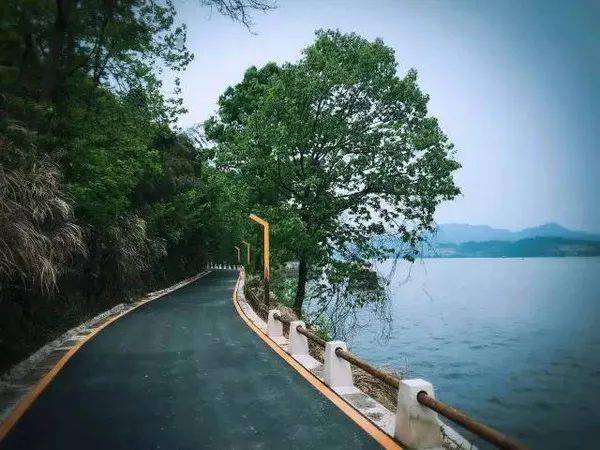 徒步狮子山原始森林,华农老师带你一起探寻植物的奥秘!