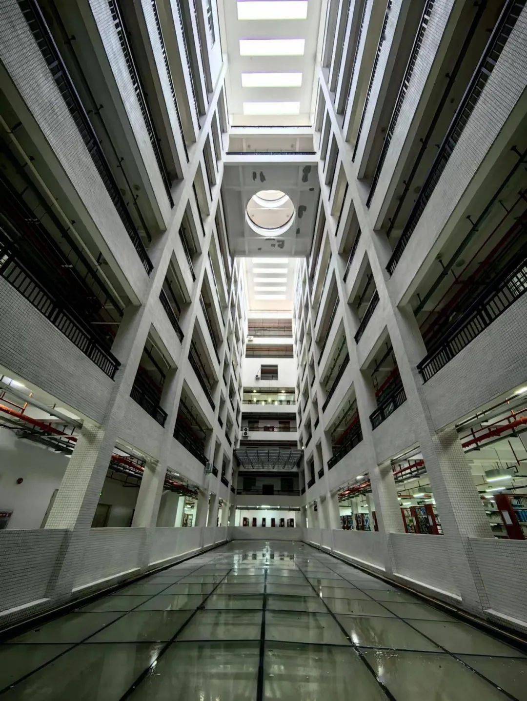 运动_钟文婷_校园