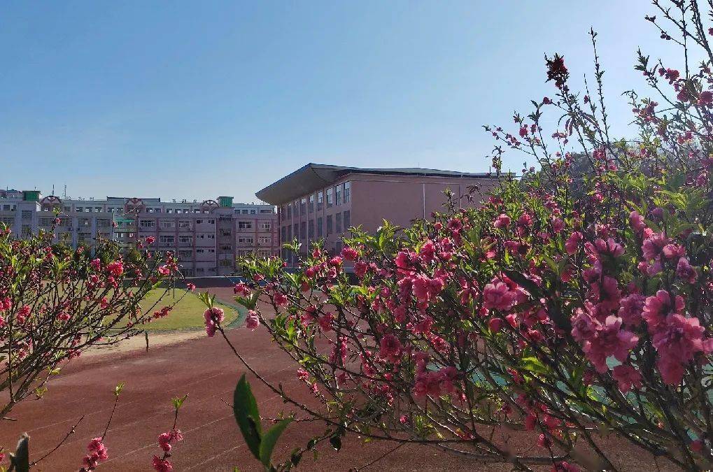 蕉岭县田家炳实验中学举行2023年初一入学仪式_新生_发展_活动